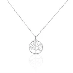 Collier Mely Argent Blanc