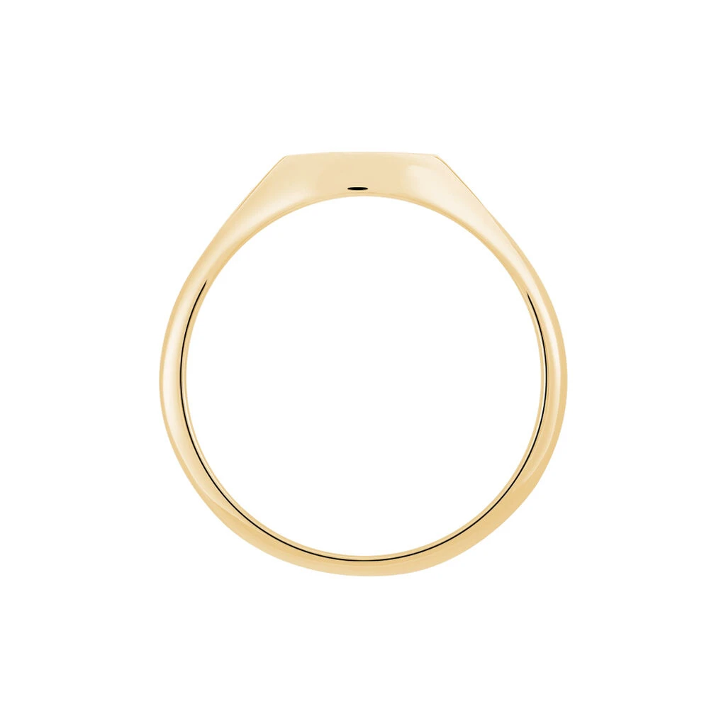 Chevalière Gregoire Plaqué Or Jaune – Image 3