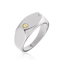 Chevalière Jourdan Lord Acier Bicolore Diamant